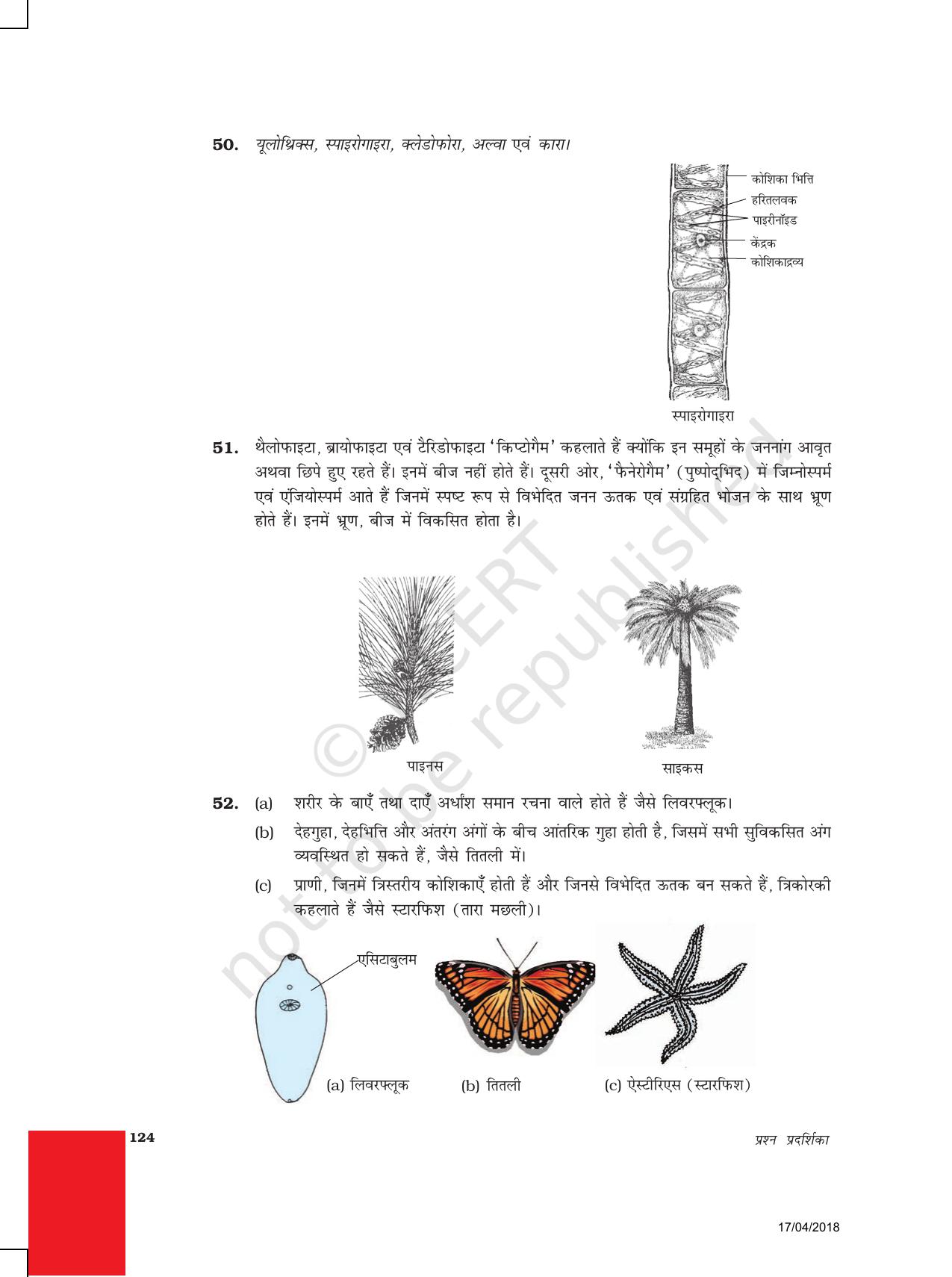 NCERT Exemplar Class 9: विज्ञान उत्तरमाला - Page 34