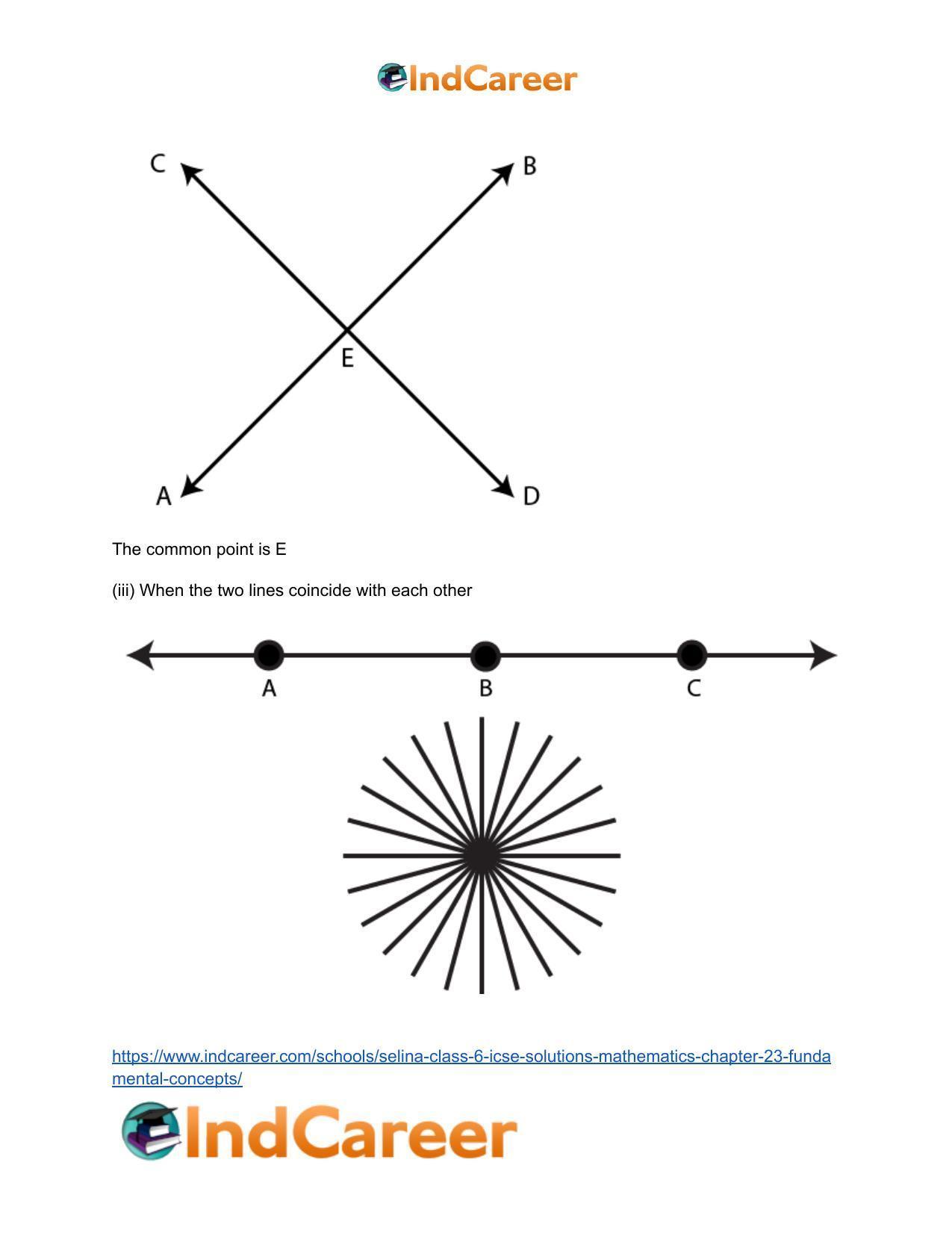 Selina Class 6 ICSE Solutions Mathematics : Chapter 23- Fundamental Concepts - Page 8