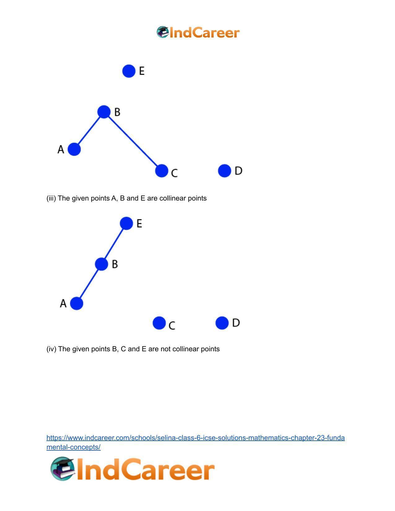 Selina Class 6 ICSE Solutions Mathematics : Chapter 23- Fundamental Concepts - Page 16