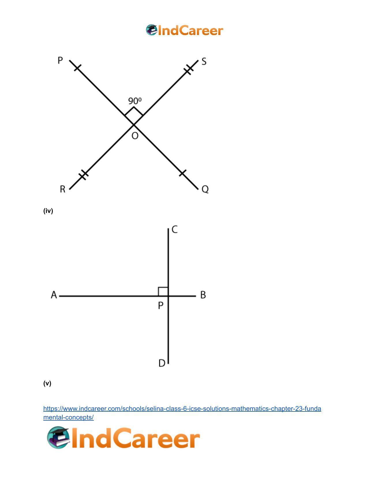 Selina Class 6 ICSE Solutions Mathematics : Chapter 23- Fundamental Concepts - Page 27