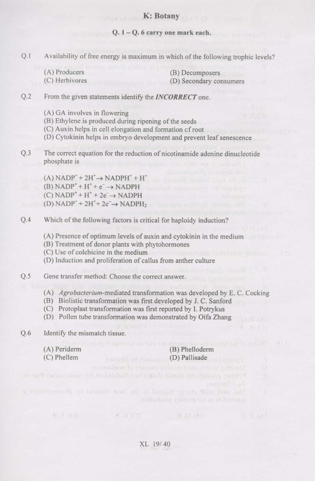GATE 2007 Life Sciences (XL) Question Paper with Answer Key - Page 19