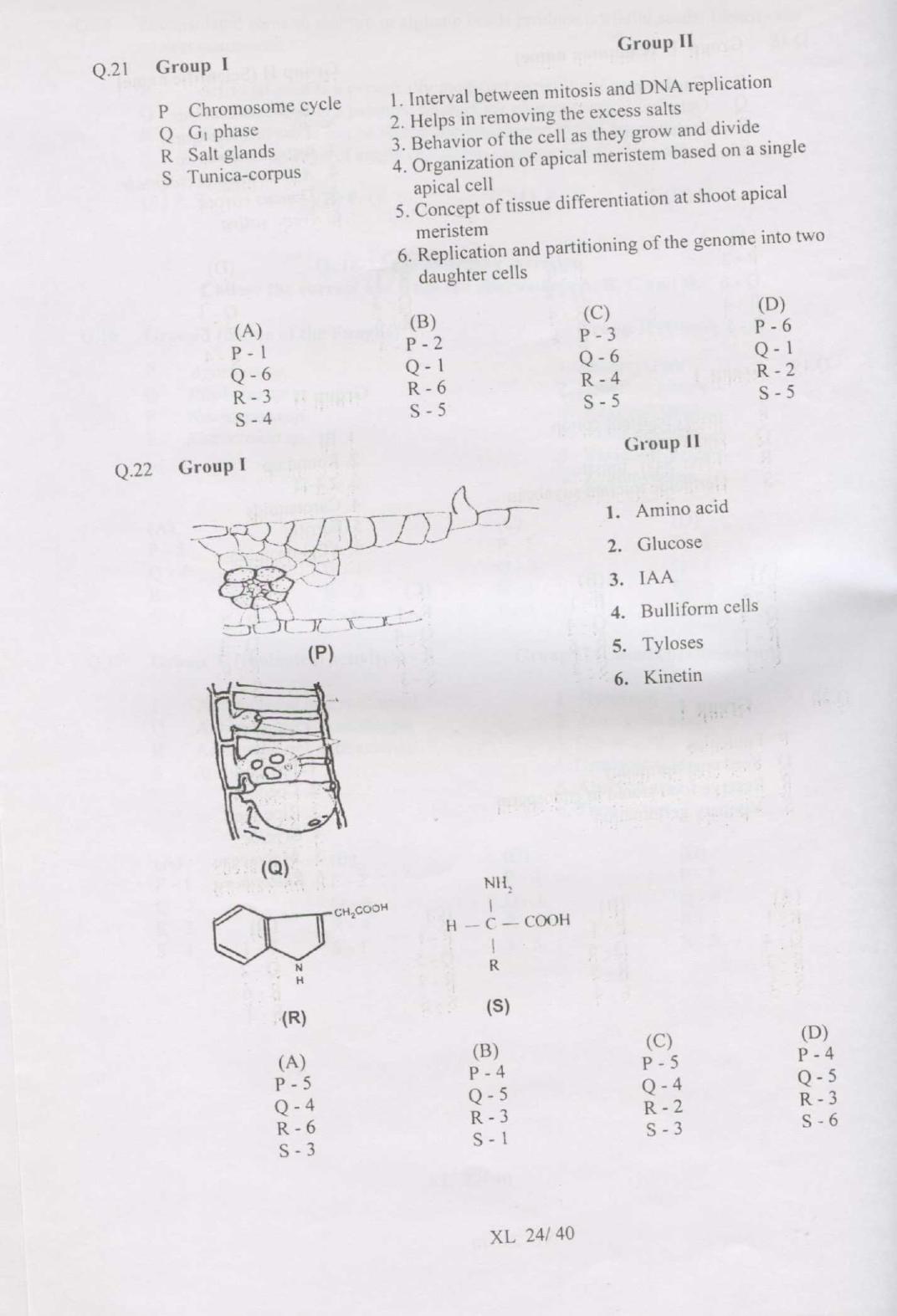 GATE 2007 Life Sciences (XL) Question Paper with Answer Key - Page 24
