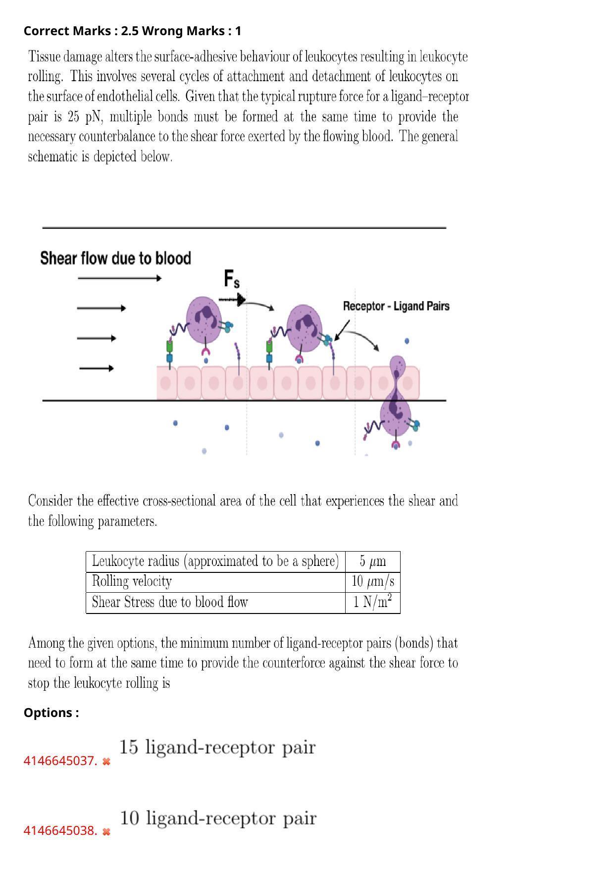 NEST 2023 Shift 2 Question Paper with Answer Keys - Page 13