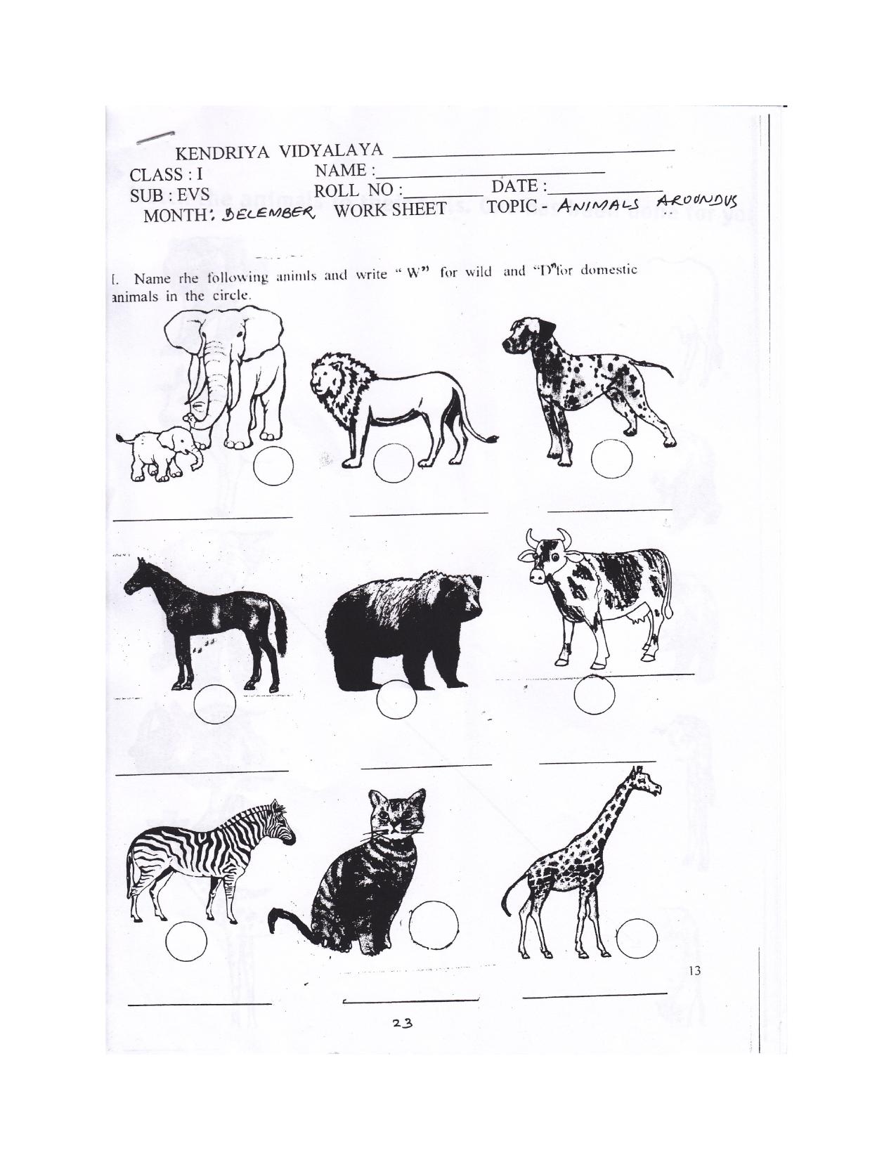 Worksheet for Class 1 EVS Animals around us Assignment 2 - Page 2