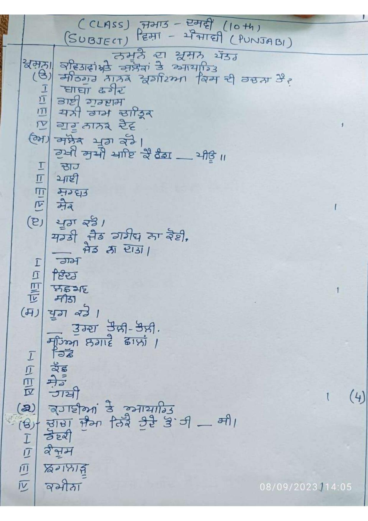 HPBOSE Class 10th Punjabi Sample Question Papers 2024 - Page 1