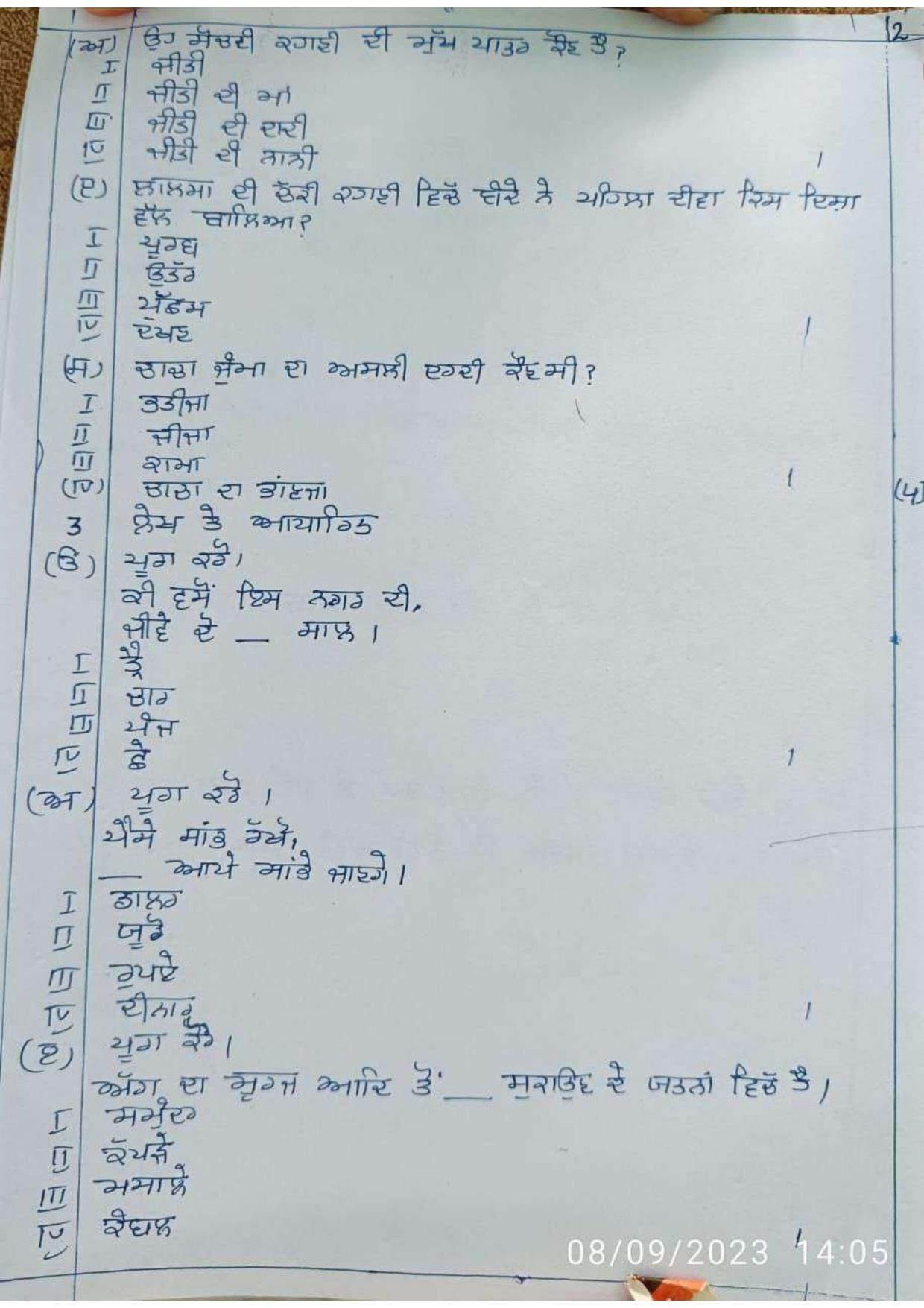 HPBOSE Class 10th Punjabi Sample Question Papers 2024 - Page 2