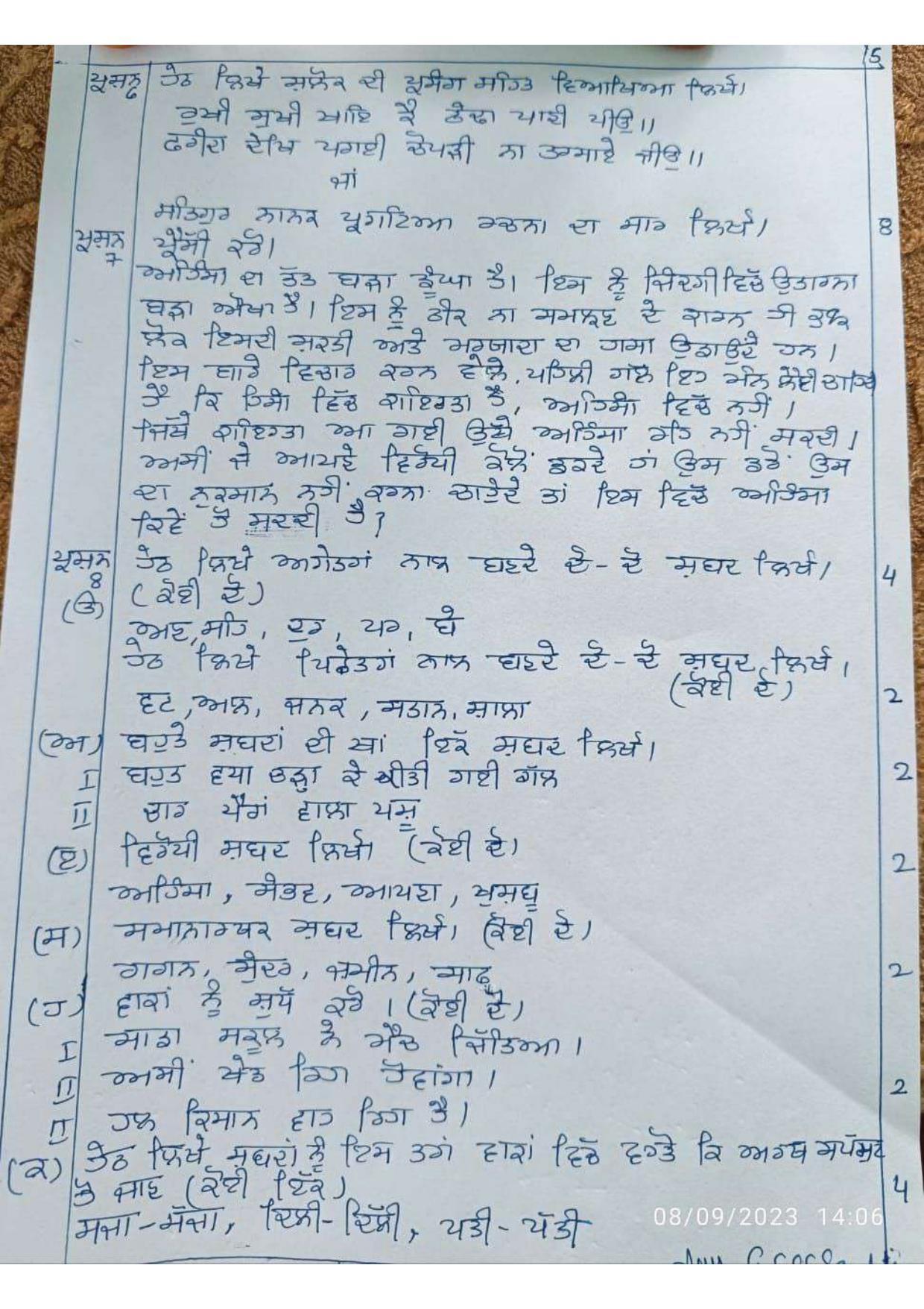 HPBOSE Class 10th Punjabi Sample Question Papers 2024 - Page 5