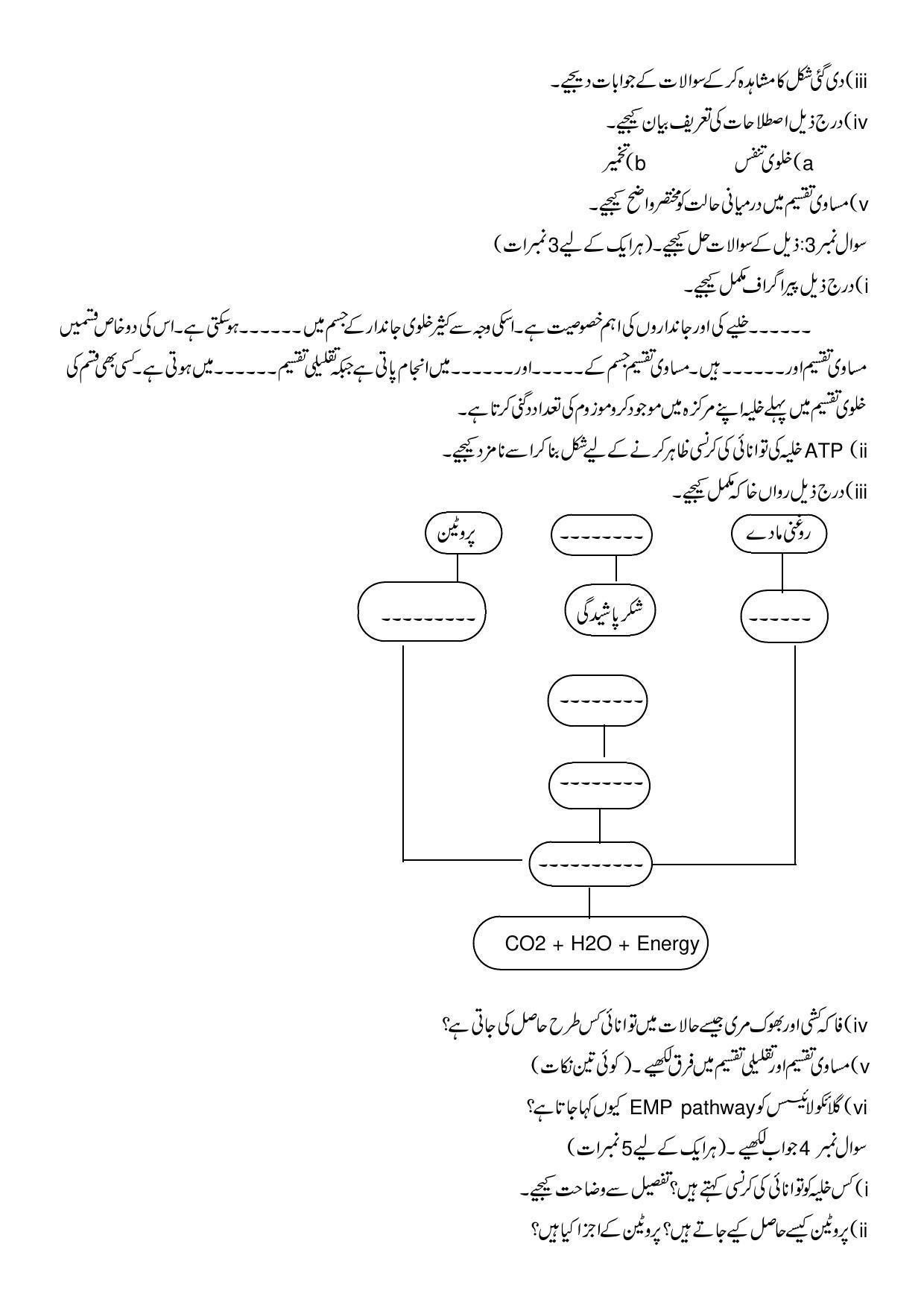 Maharashtra Board Class 10 Science II Sample Paper (Urdu Medium) - Page 5