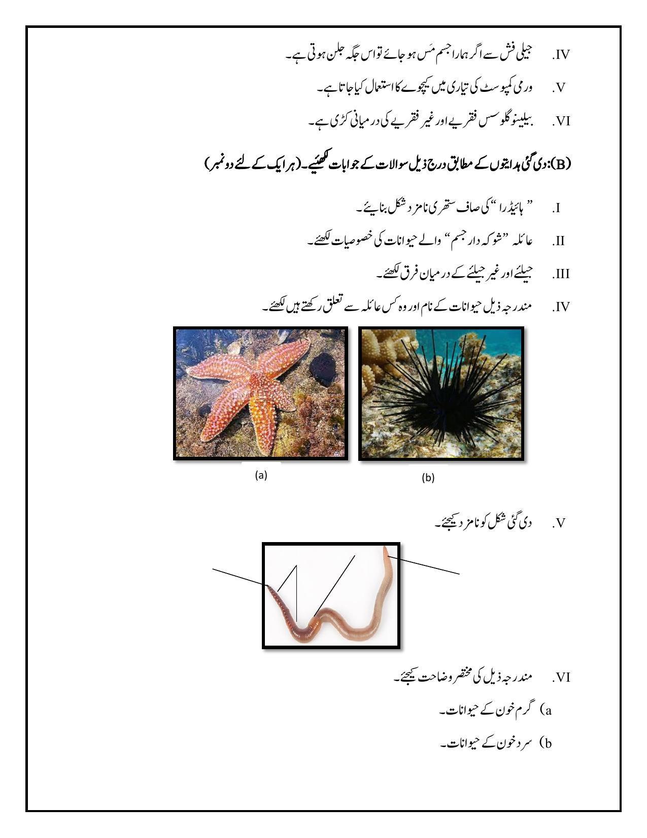 Maharashtra Board Class 10 Science II Sample Paper (Urdu Medium) - Page 21