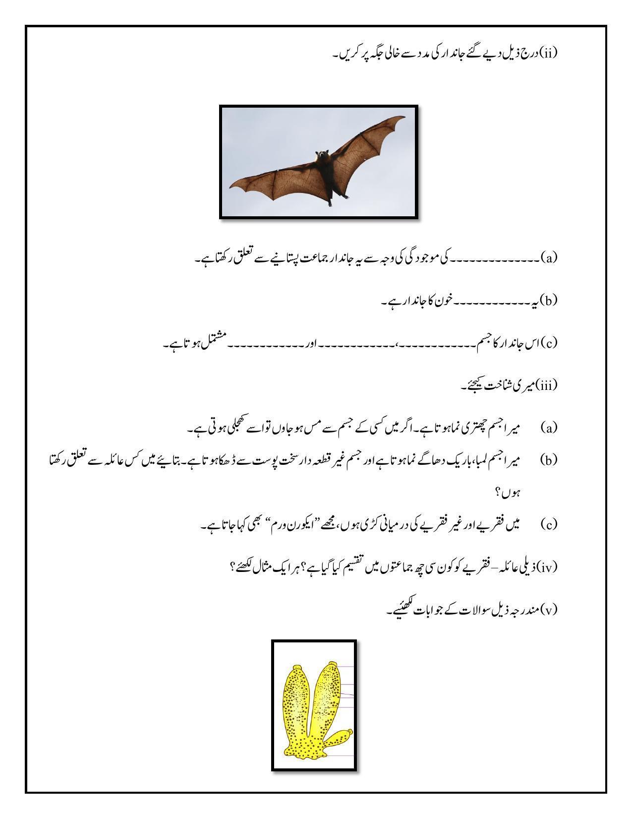 Maharashtra Board Class 10 Science II Sample Paper (Urdu Medium) - Page 23