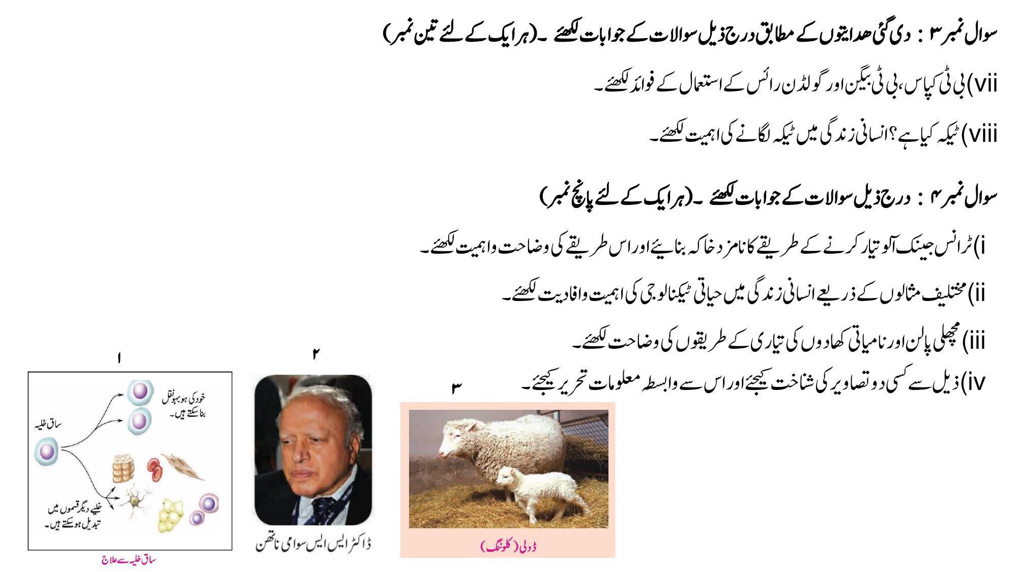 Maharashtra Board Class 10 Science II Sample Paper (Urdu Medium) - Page 42