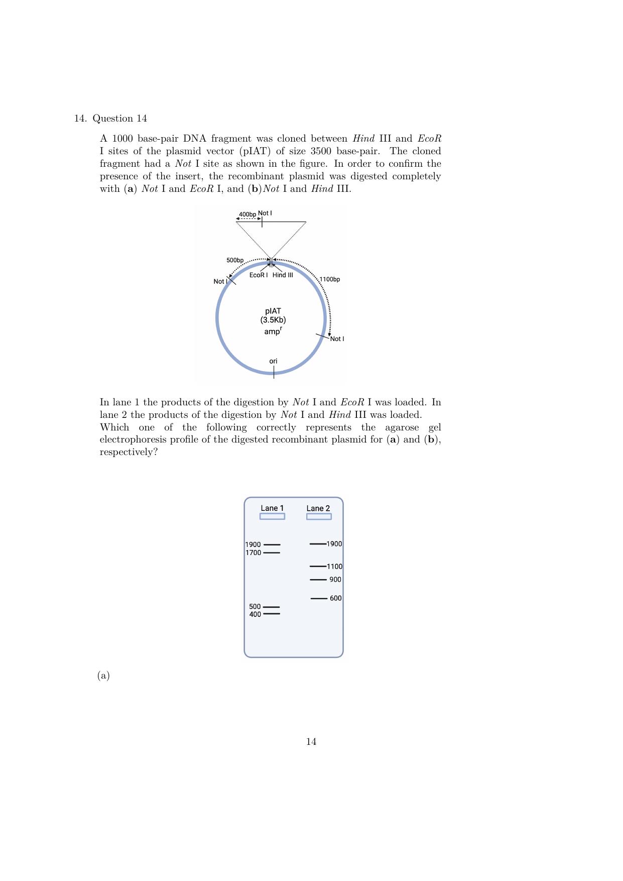 IISER Aptitude Test 2023 English Question Paper IndCareer Docs iiser-aptitude-test-2023-english-question-paper-indcareer-docs