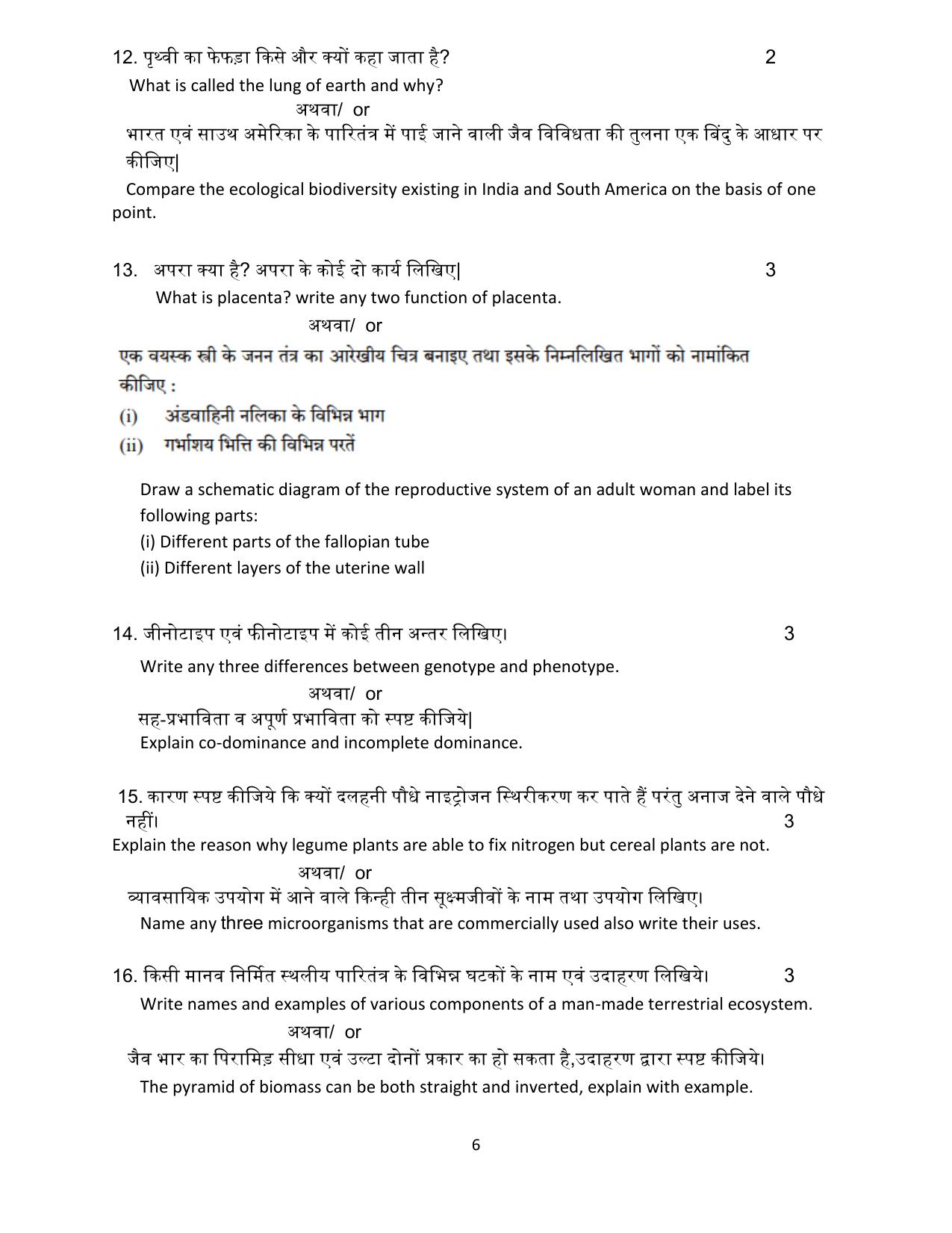 MP Board Class 12 Biology 2024 Sample Paper  - Page 6