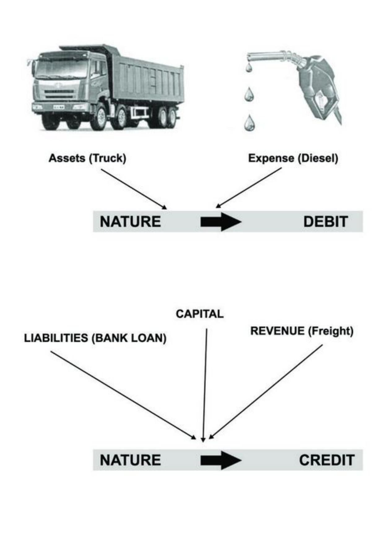 Class 11 Notes, Question & Practice Paper - Accountancy (Topic 3 : Recording of Transactions) - Page 12