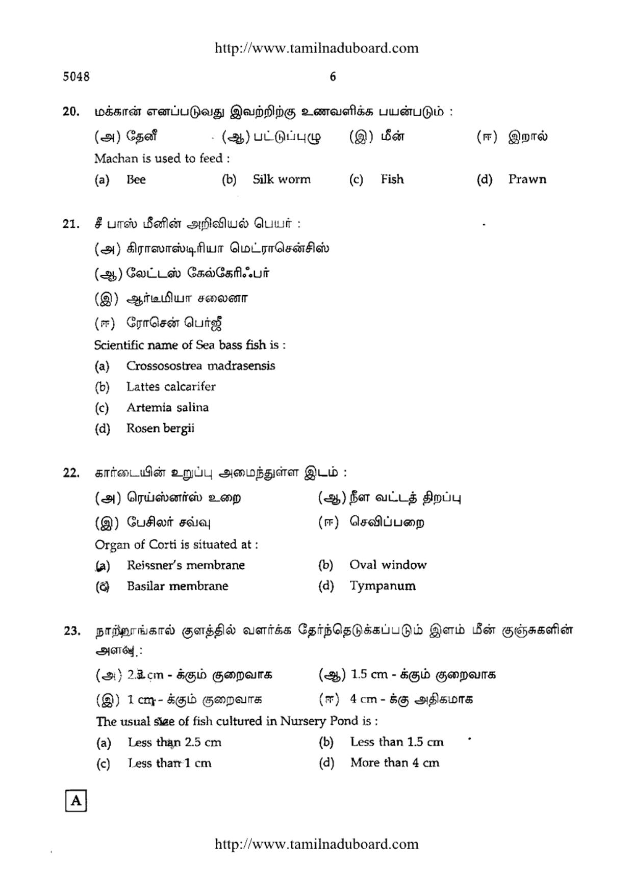 TN Class 12 Zoology Question Papers Mar 2015 - Page 6