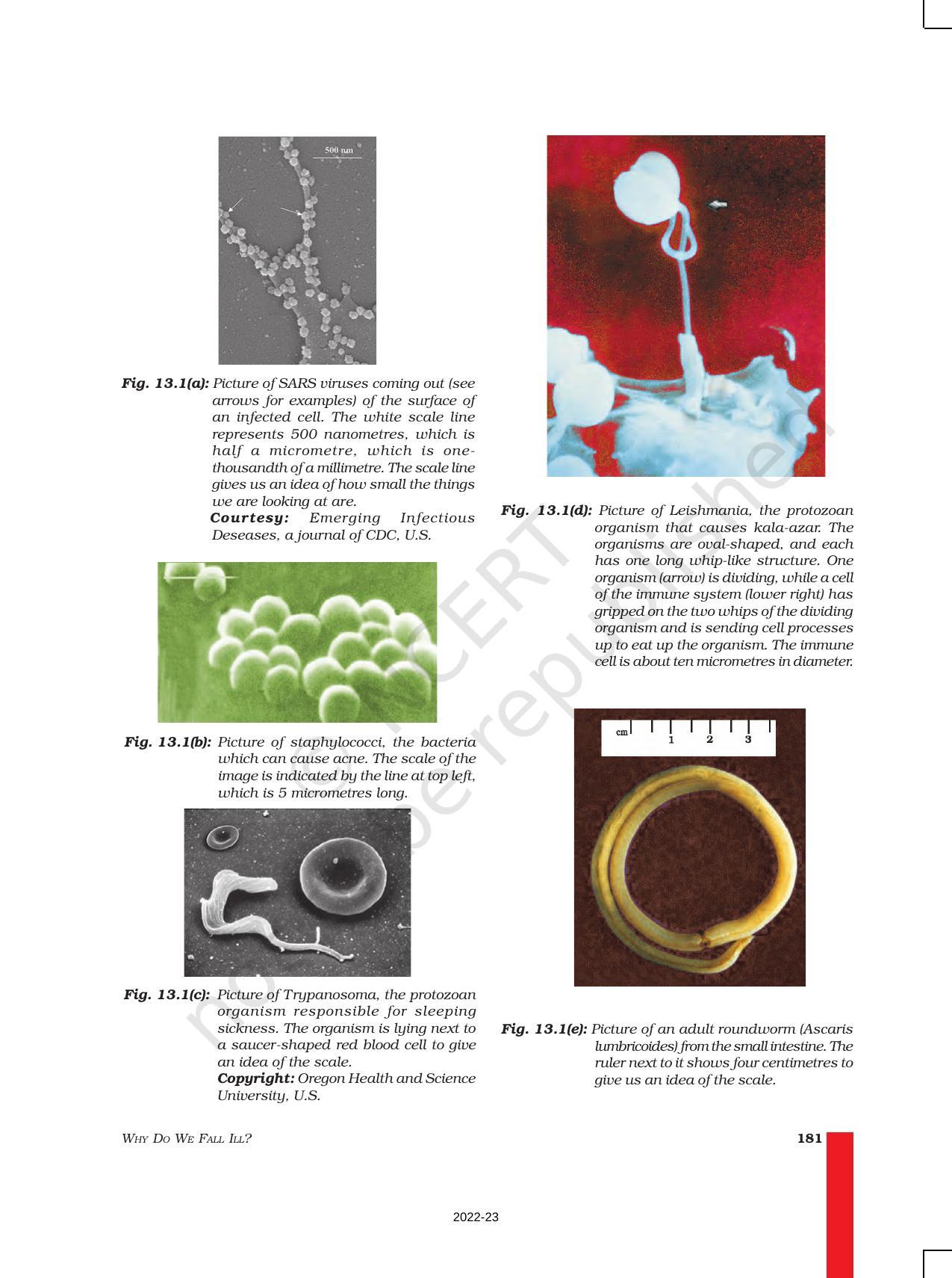 NCERT Book for Class 9 Science Chapter 13 Why Do We Fall ill - Page 6