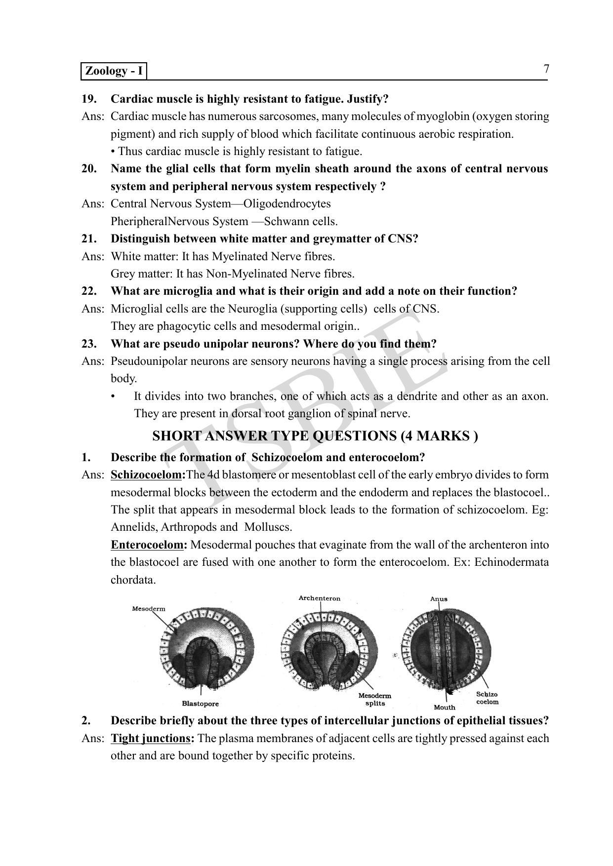 TS SCERT Inter 1st Year Zoology Path 1 (English Medium) Text Book - Page 12