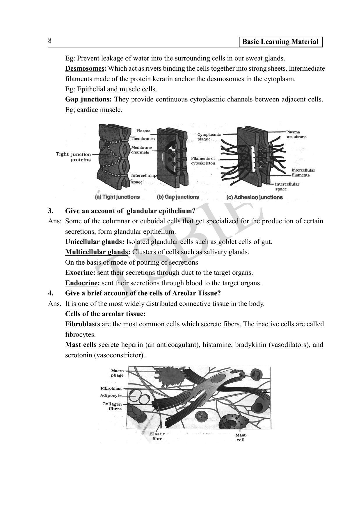 TS SCERT Inter 1st Year Zoology Path 1 (English Medium) Text Book - Page 13