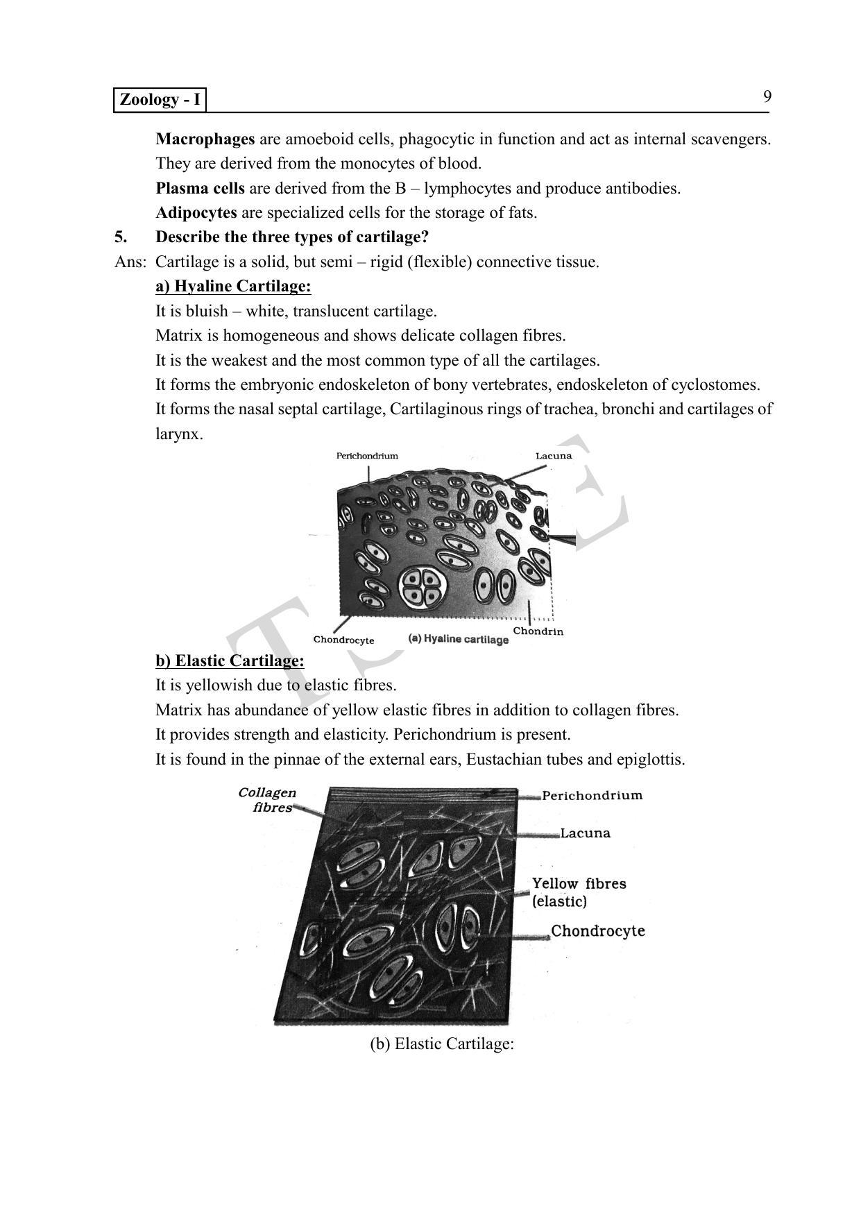 TS SCERT Inter 1st Year Zoology Path 1 (English Medium) Text Book - Page 14