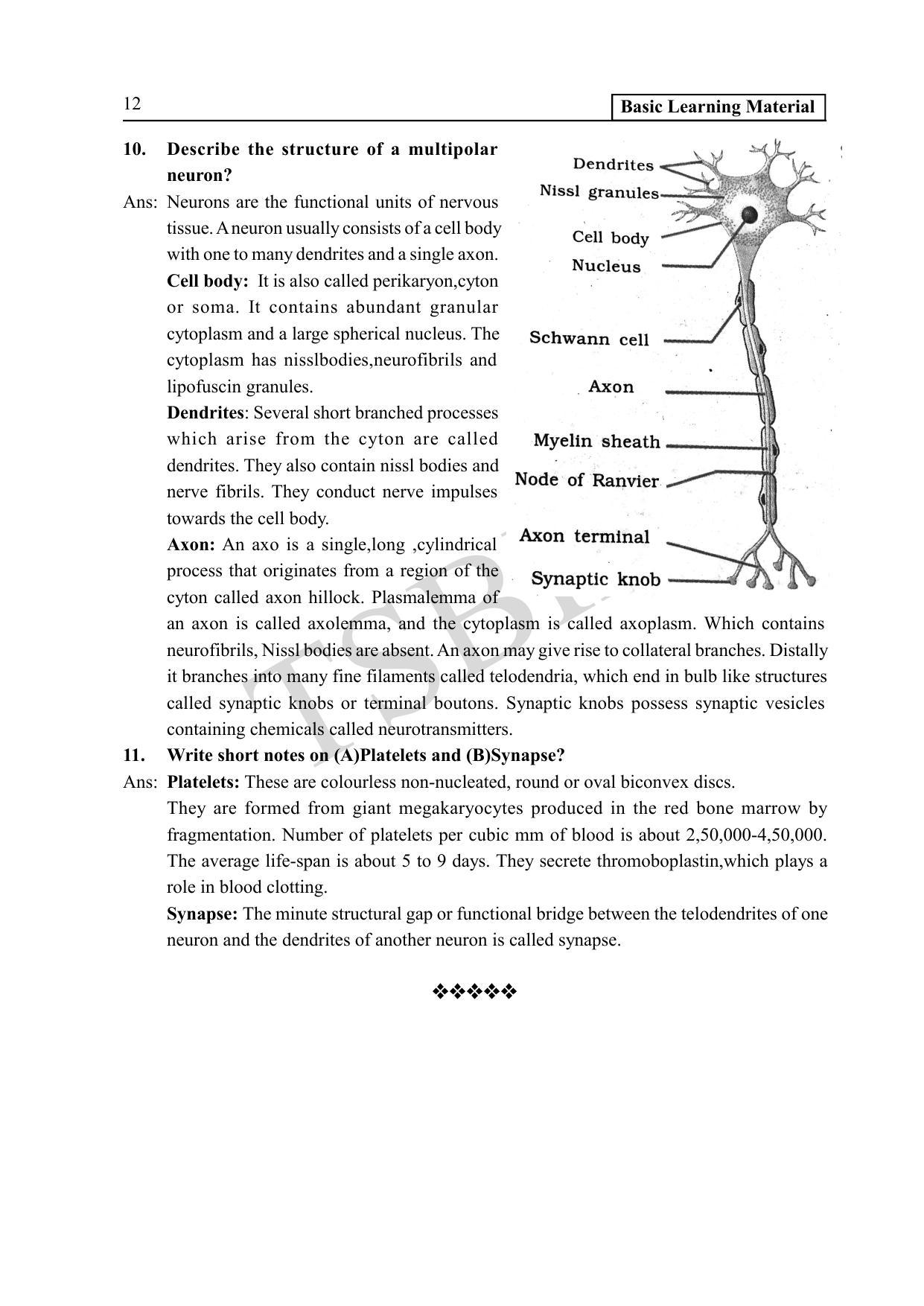 TS SCERT Inter 1st Year Zoology Path 1 (English Medium) Text Book - Page 17