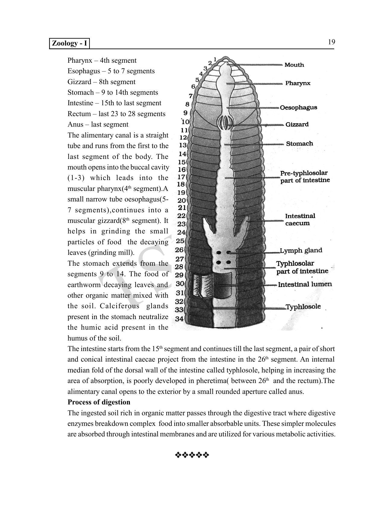 TS SCERT Inter 1st Year Zoology Path 1 (English Medium) Text Book - Page 24