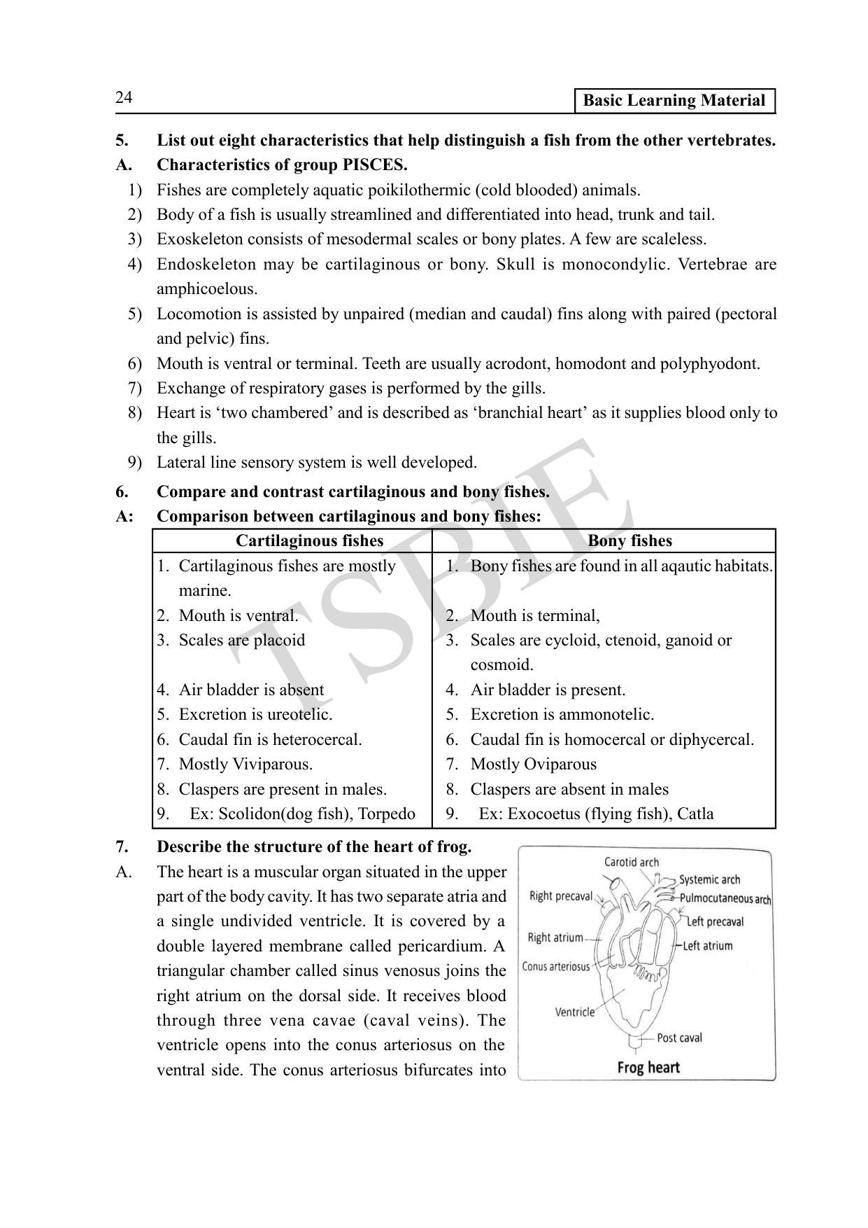 TS SCERT Inter 1st Year Zoology Path 1 (English Medium) Text Book - Page 29