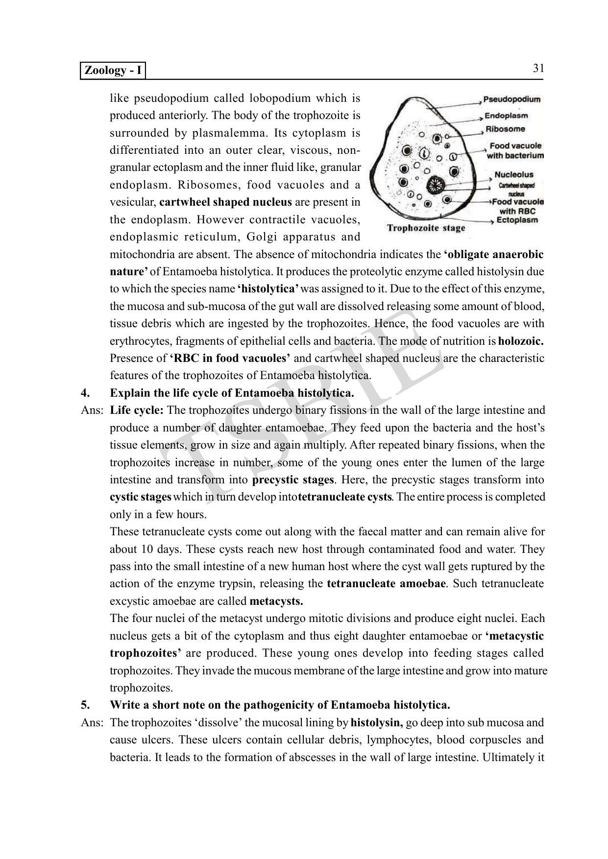 TS SCERT Inter 1st Year Zoology Path 1 (English Medium) Text Book - Page 36