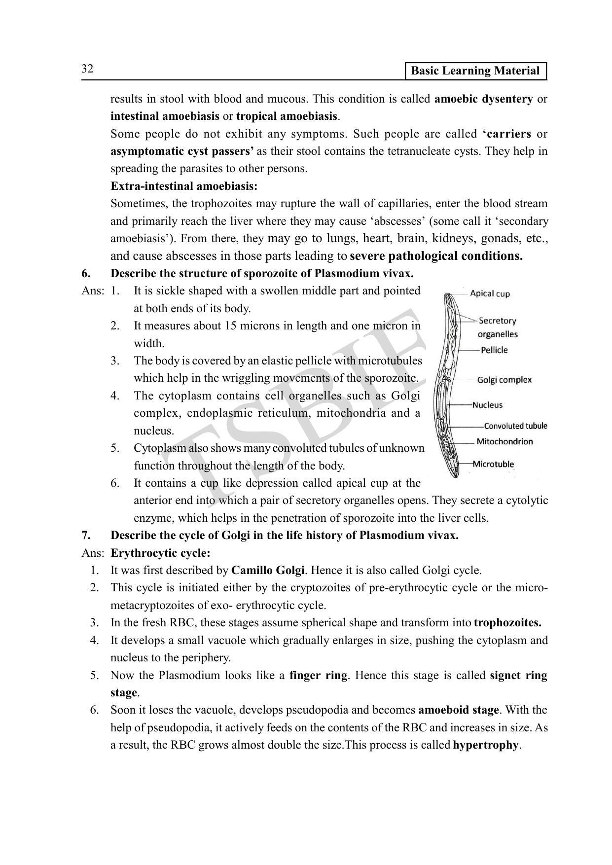 TS SCERT Inter 1st Year Zoology Path 1 (English Medium) Text Book - Page 37