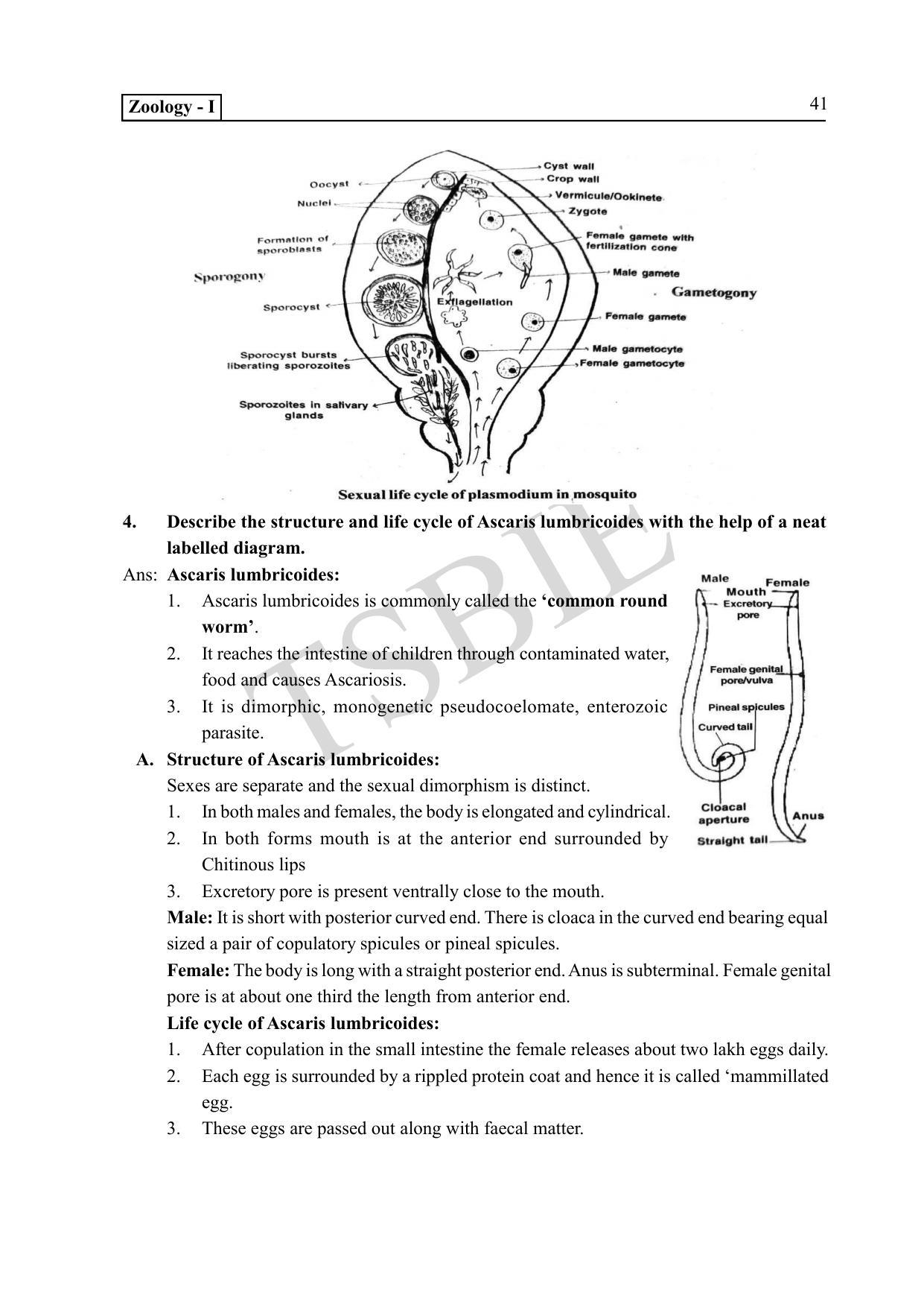 TS SCERT Inter 1st Year Zoology Path 1 (English Medium) Text Book - Page 46