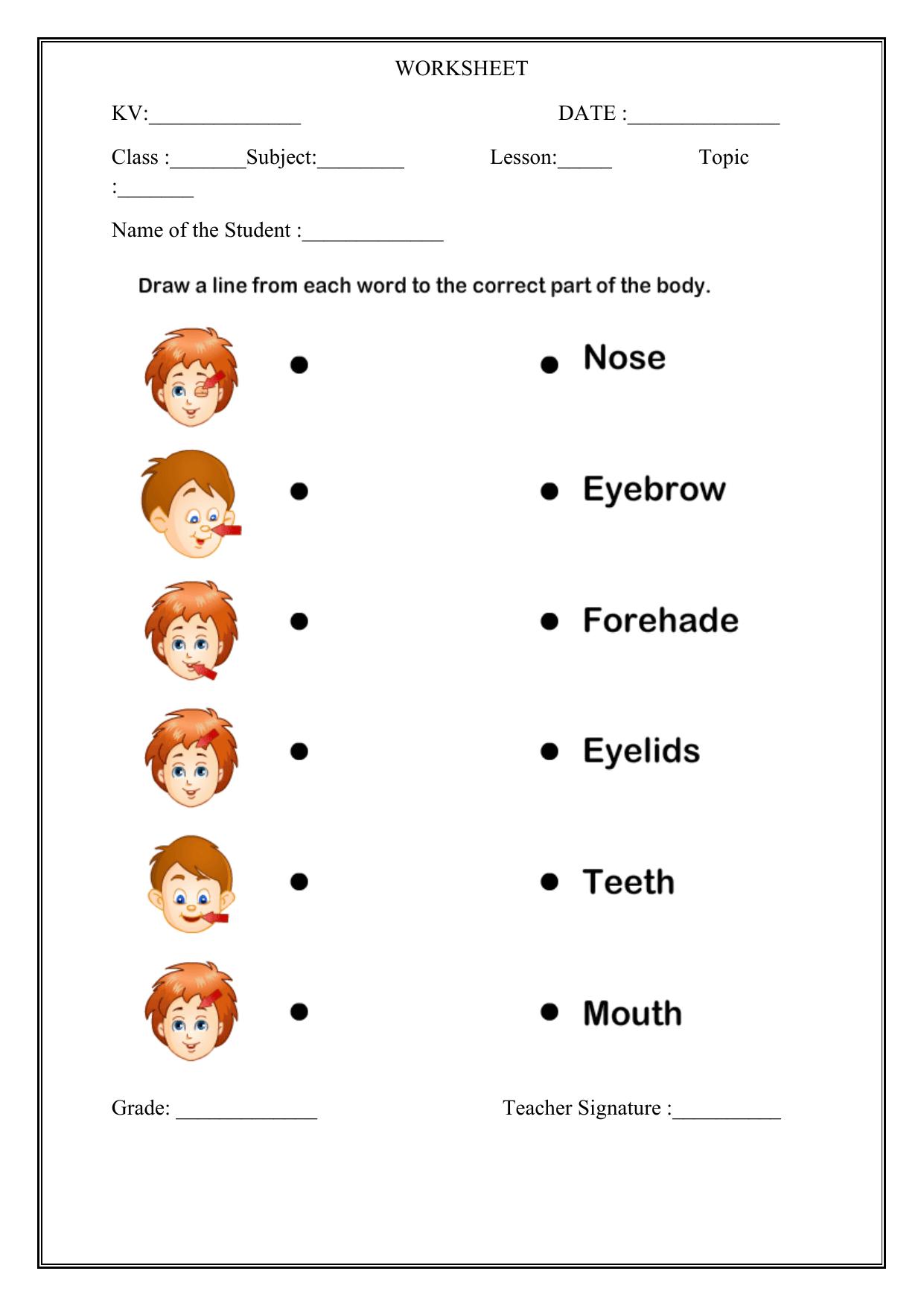 Worksheet for Class 1 EVS Our Body Assignment - Page 2