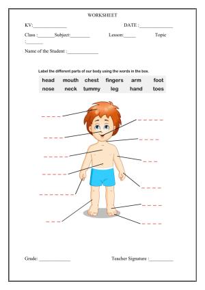 Worksheet for Class 1 EVS Our Body Assignment