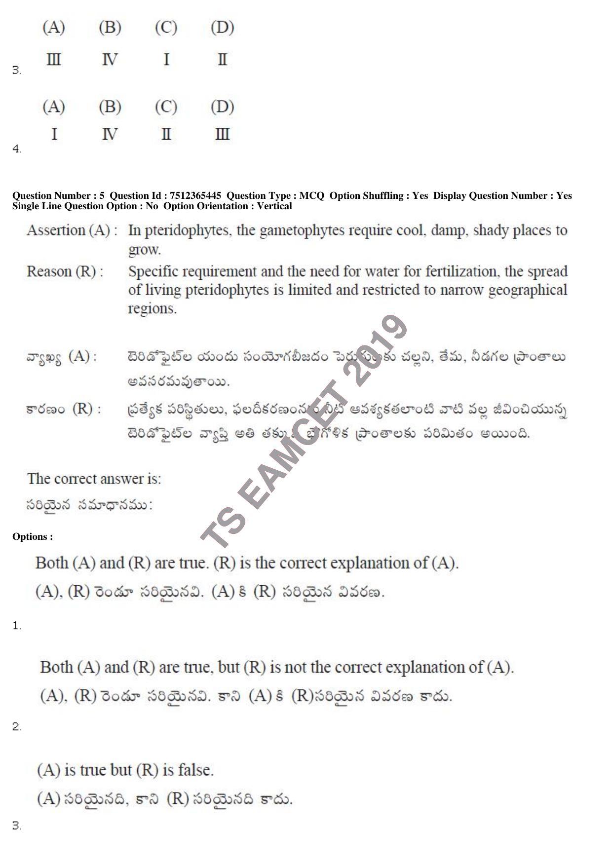 TS EAMCET 2019 Engineering Question Paper with Key (8 May 2019 Afternoon) - Page 5