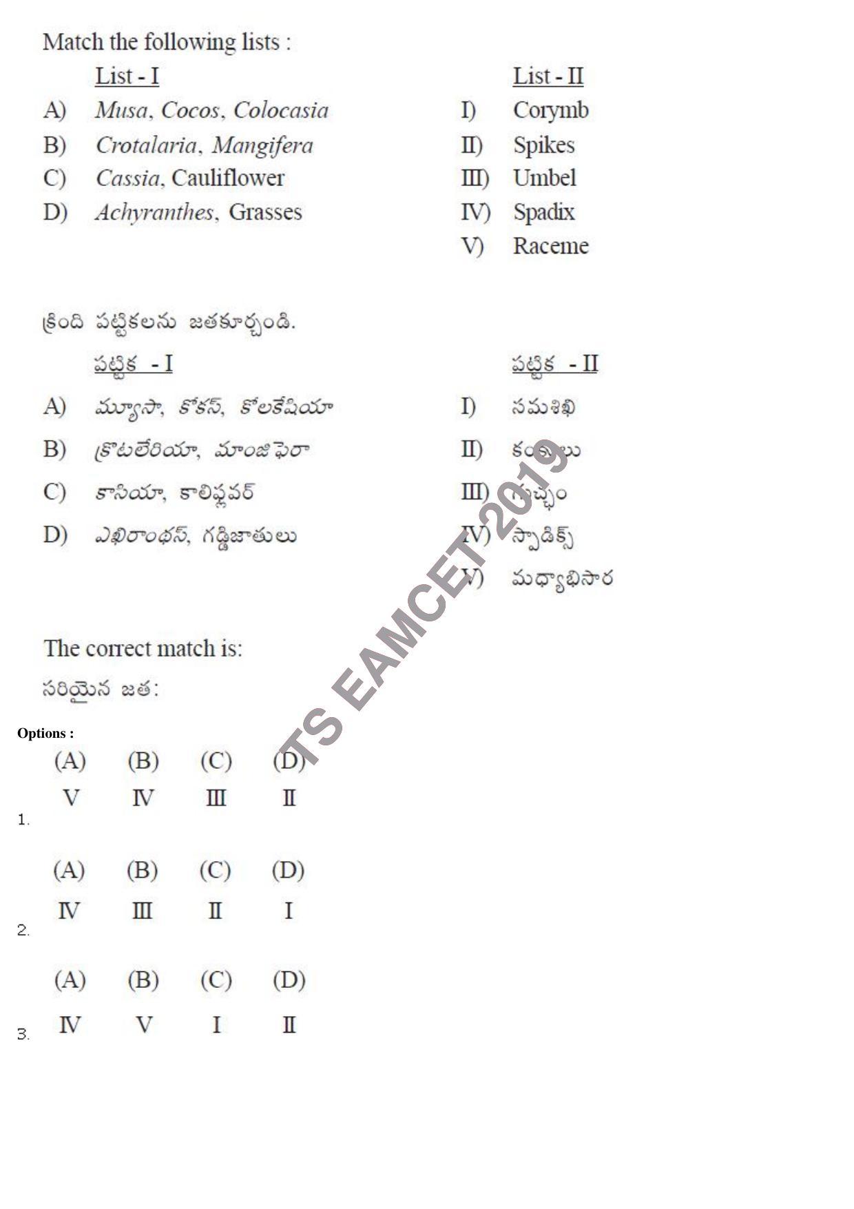 TS EAMCET 2019 Engineering Question Paper with Key (8 May 2019 Afternoon) - Page 7