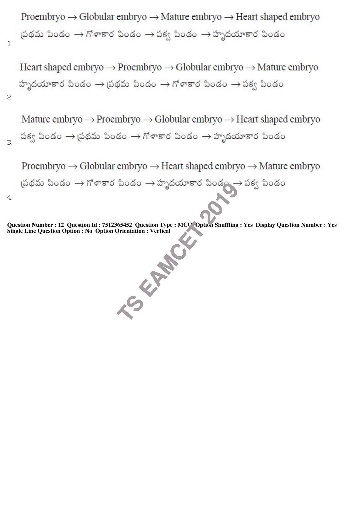 TS EAMCET 2019 Engineering Question Paper with Key (8 May 2019 Afternoon) - Page 11