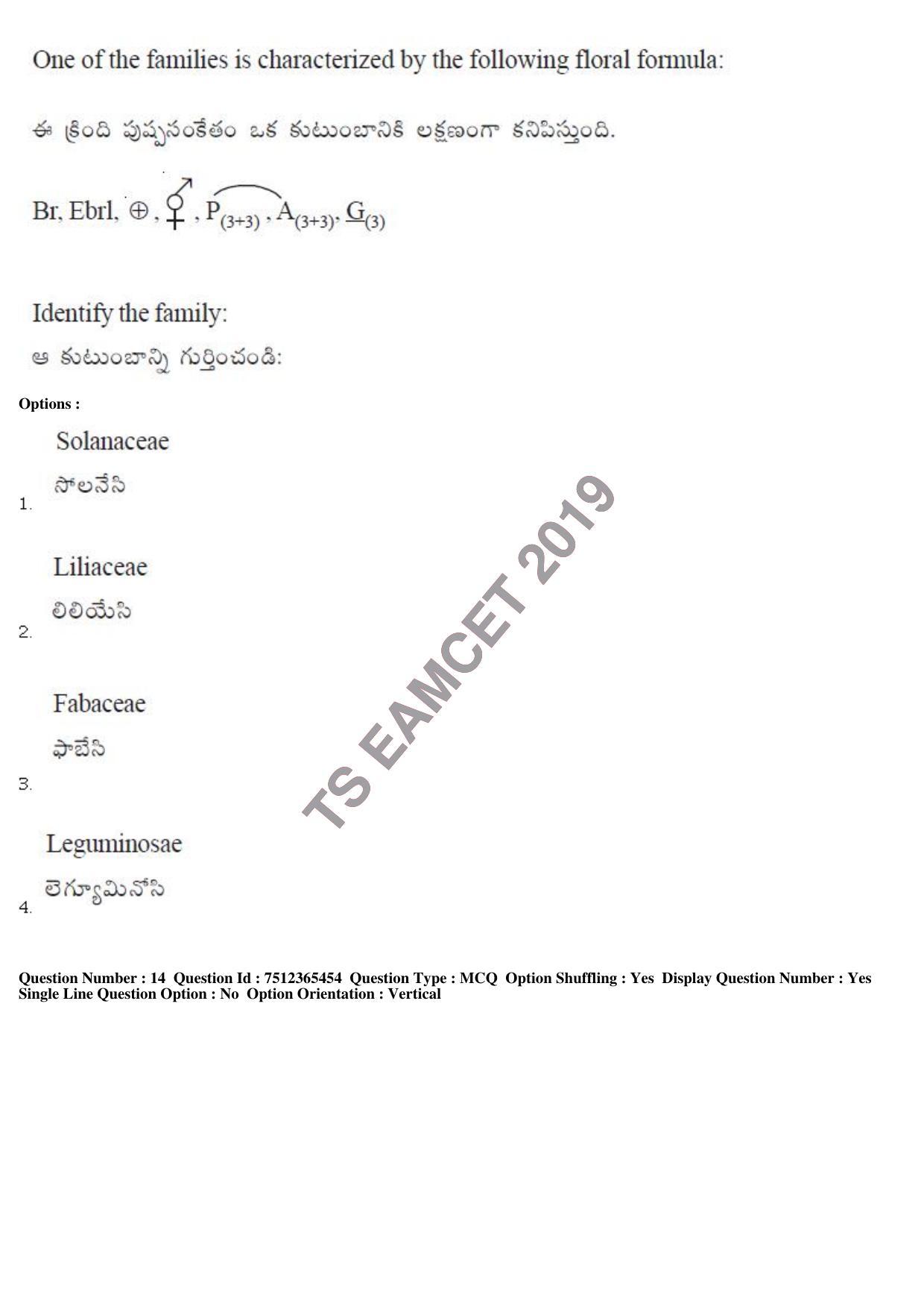 TS EAMCET 2019 Engineering Question Paper with Key (8 May 2019 Afternoon) - Page 13