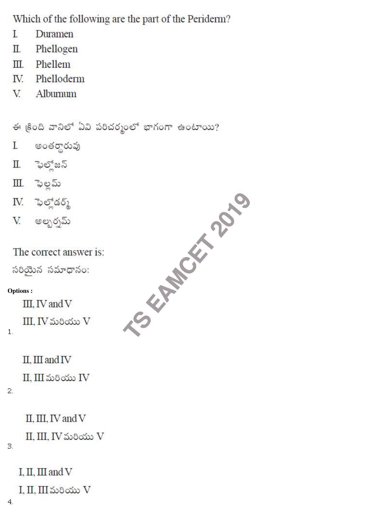 TS EAMCET 2019 Engineering Question Paper with Key (8 May 2019 Afternoon) - Page 18