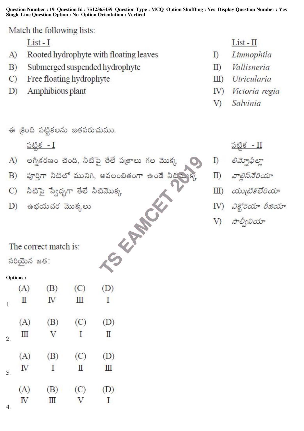 TS EAMCET 2019 Engineering Question Paper with Key (8 May 2019 Afternoon) - Page 19