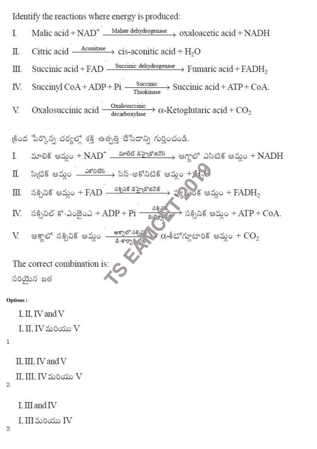 TS EAMCET 2019 Engineering Question Paper with Key (8 May 2019 Afternoon) - Page 27