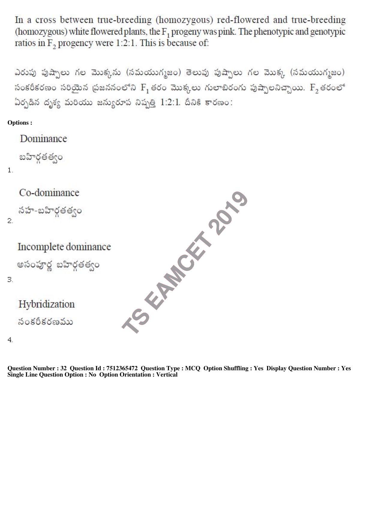 TS EAMCET 2019 Engineering Question Paper with Key (8 May 2019 Afternoon) - Page 31