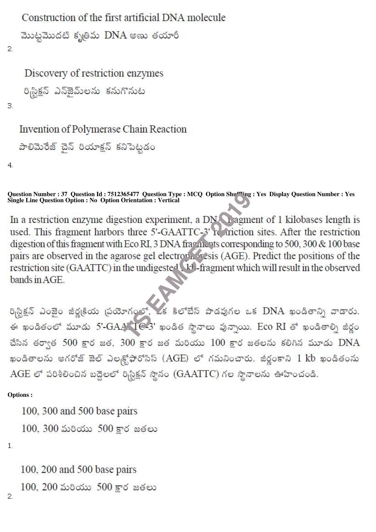 TS EAMCET 2019 Engineering Question Paper with Key (8 May 2019 Afternoon) - Page 36