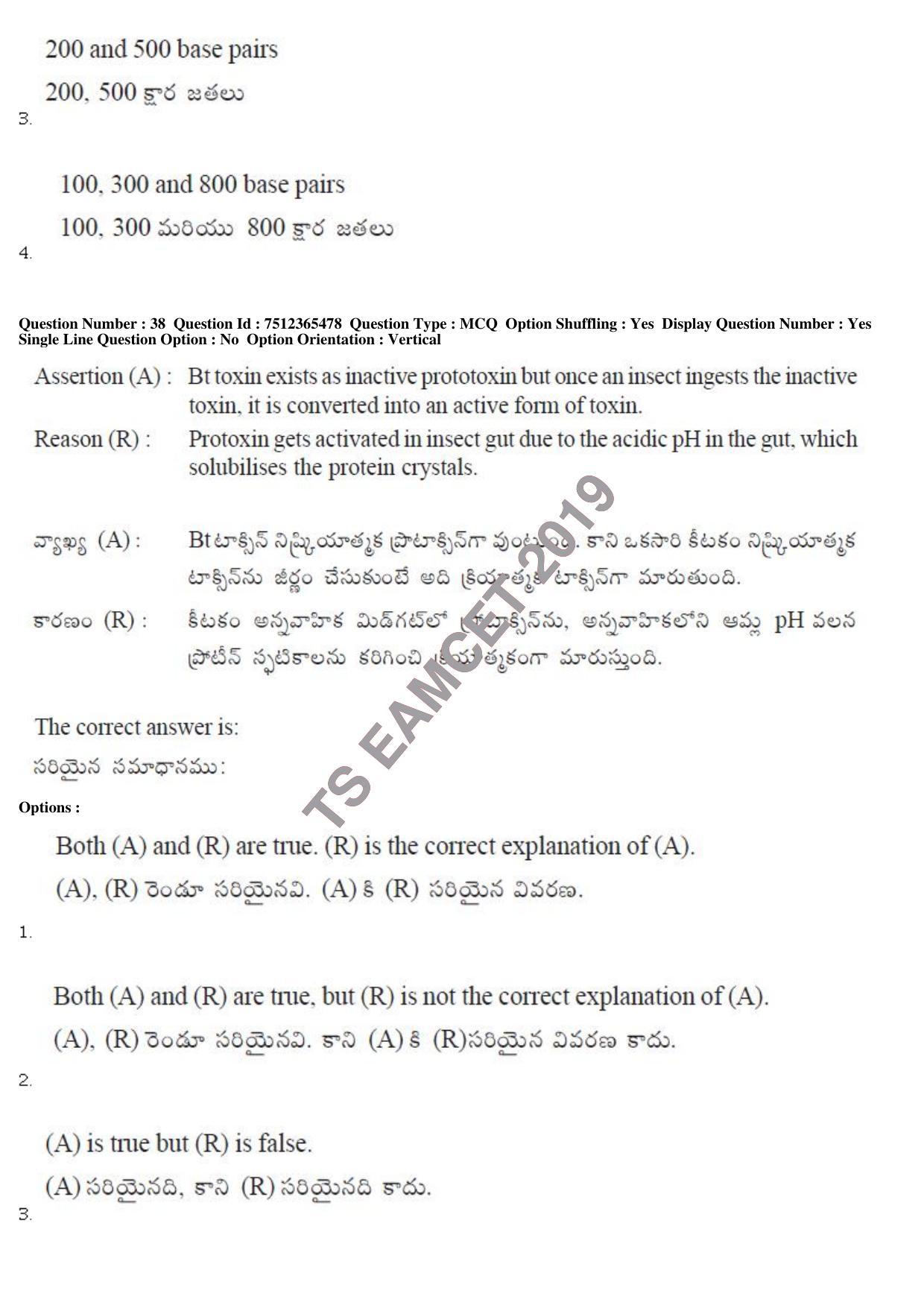 TS EAMCET 2019 Engineering Question Paper with Key (8 May 2019 Afternoon) - Page 37