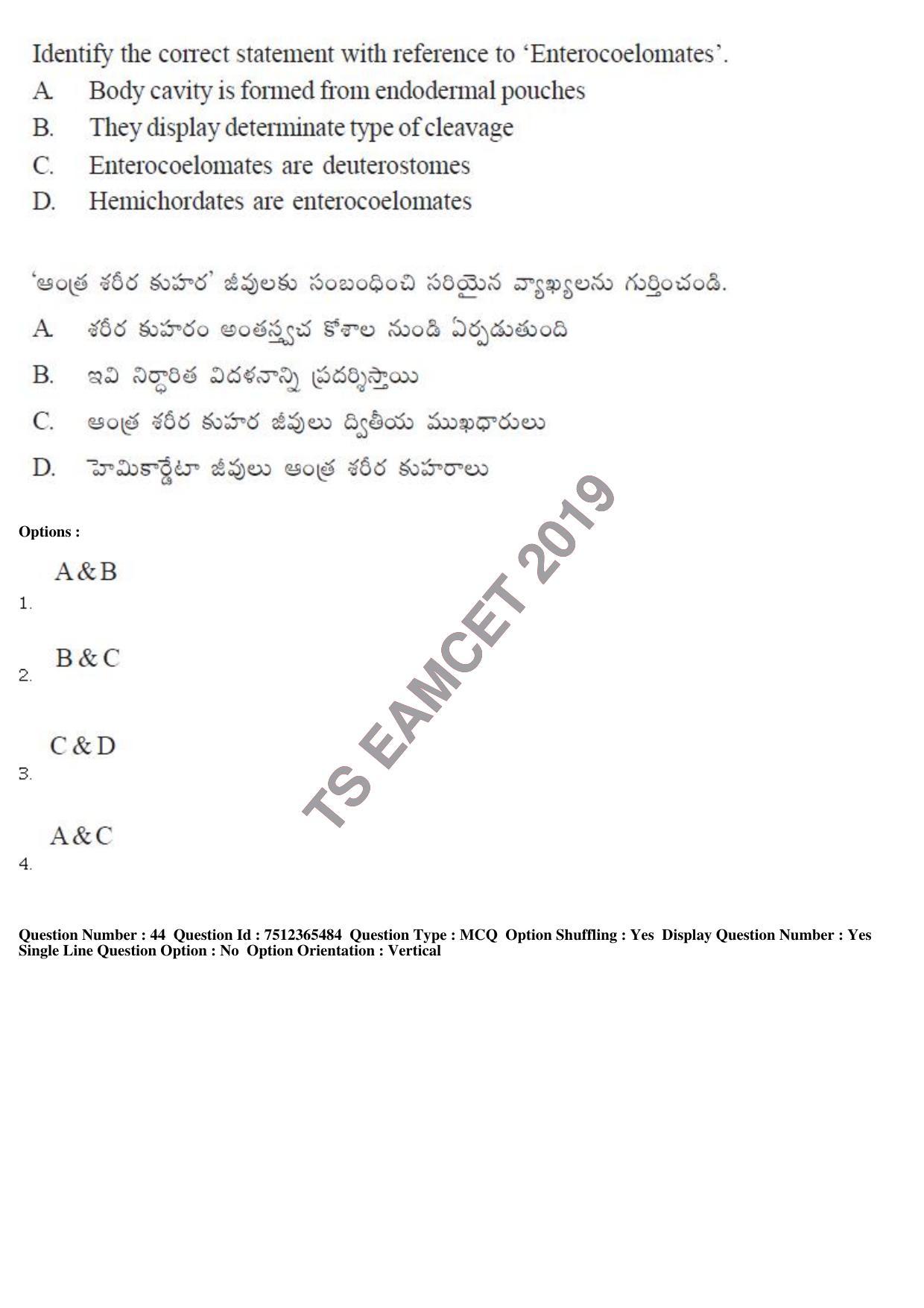 TS EAMCET 2019 Engineering Question Paper with Key (8 May 2019 Afternoon) - Page 42