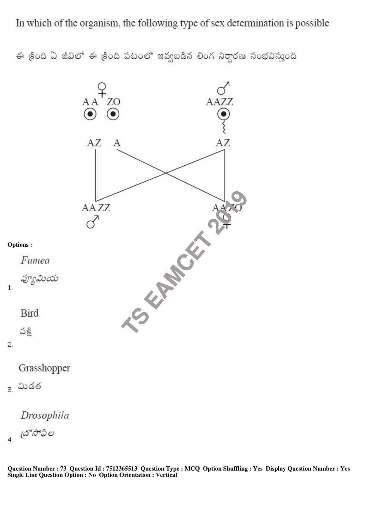 TS EAMCET 2019 Engineering Question Paper with Key (8 May 2019 Afternoon) - Page 68