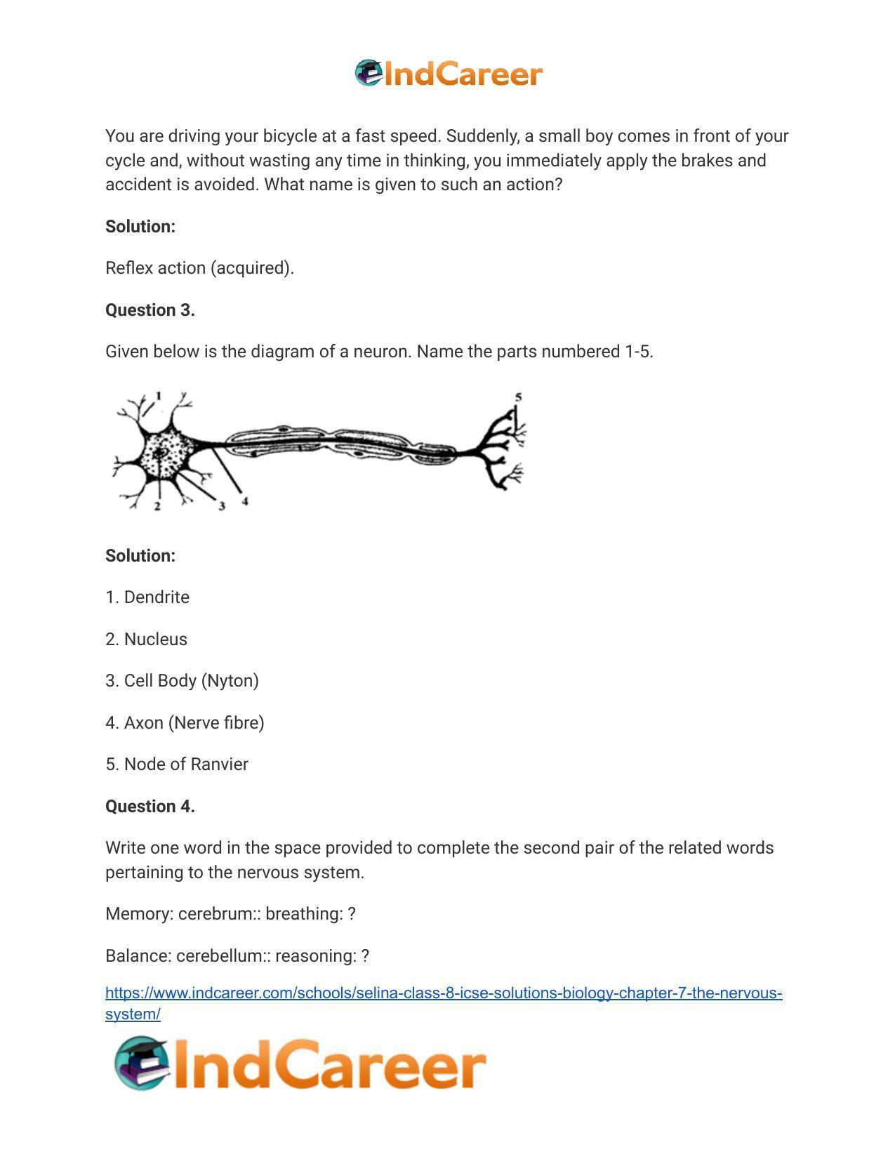 Selina Class 8 ICSE Solutions Biology : Chapter 7- The Nervous System - Page 4