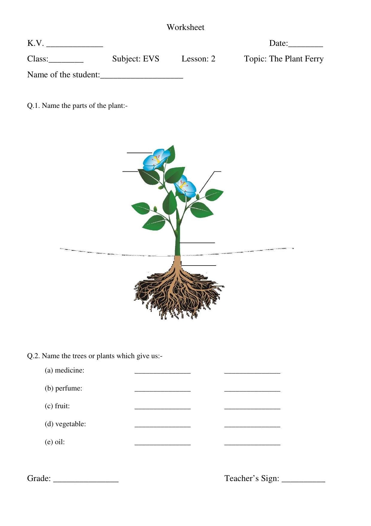 Worksheet for Class 3 EVS Assignment 83 The Plant Ferry - Page 1