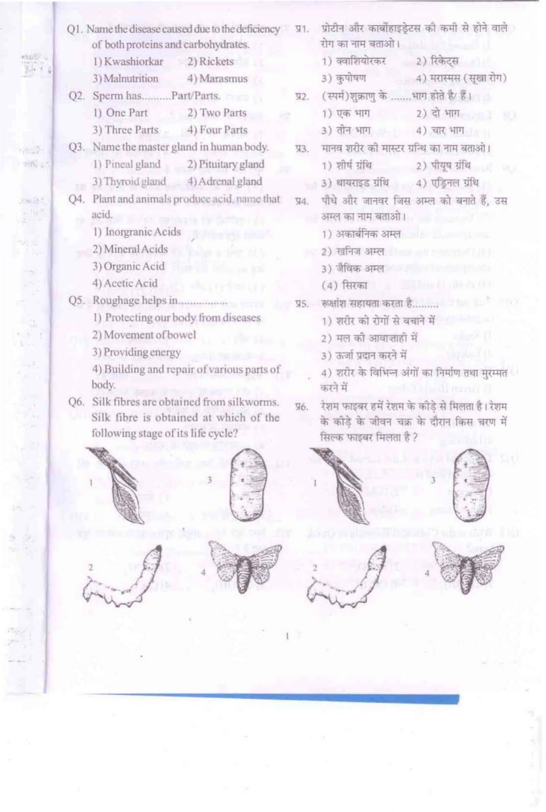 Himachal Pradesh NMMS SAT 2021 Question Paper - Page 2
