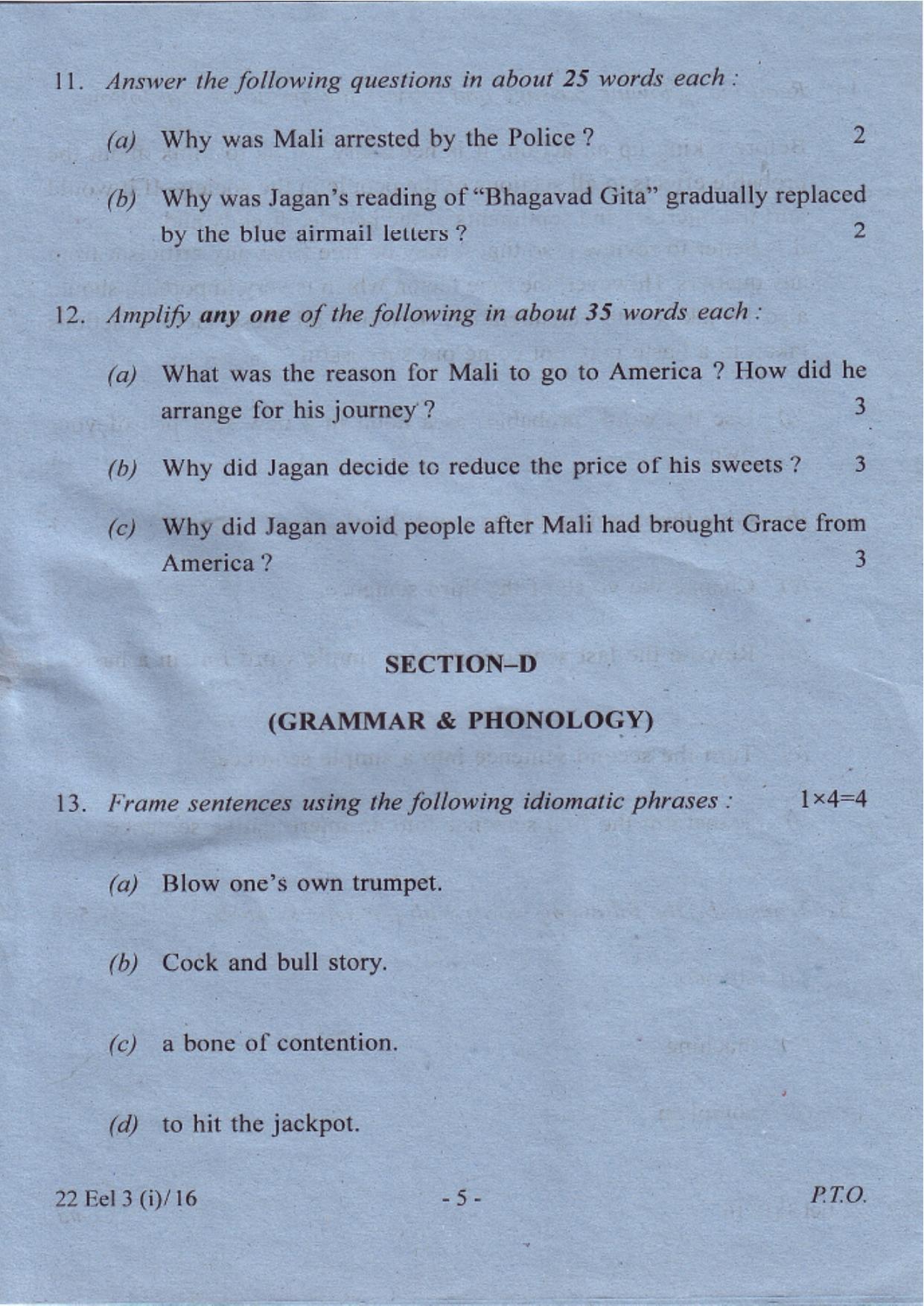 COHSEM Class 12 Elective English 2016 Question Papers - Page 5