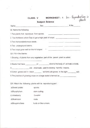 Worksheet for Class 5 Science Reproduction in Plants Assignment 4