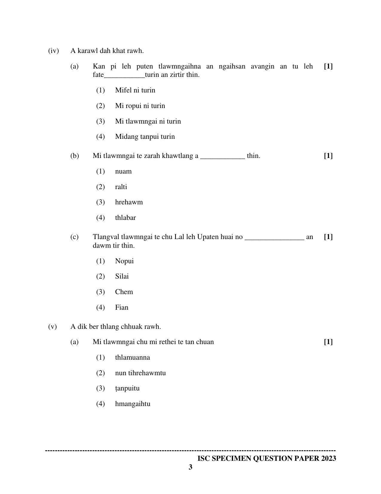 ISC Class 12 Mizo Sample Paper 2023 - Page 3