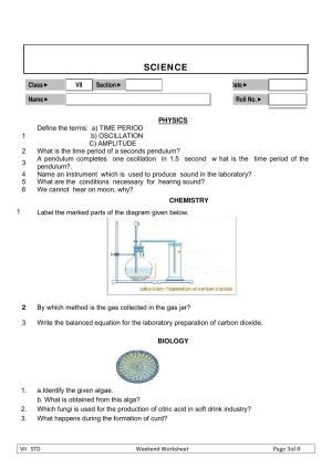 CBSE Worksheets for Class 7 Science Physics Chemistry Biology Assignment 4